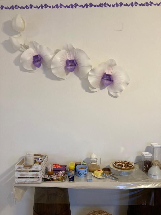 Castello delle Forme B&B Casa Losea מראה חיצוני תמונה