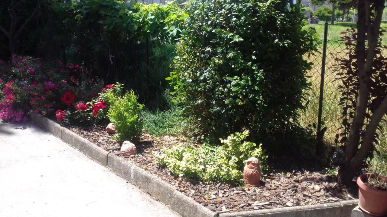 Castello delle Forme B&B Casa Losea מראה חיצוני תמונה