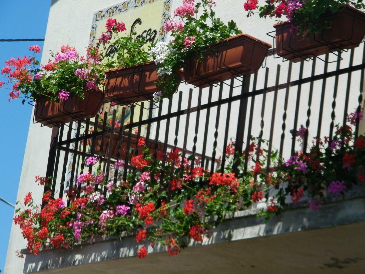 Castello delle Forme B&B Casa Losea מראה חיצוני תמונה