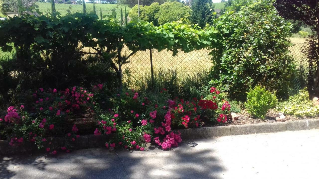 Castello delle Forme B&B Casa Losea מראה חיצוני תמונה